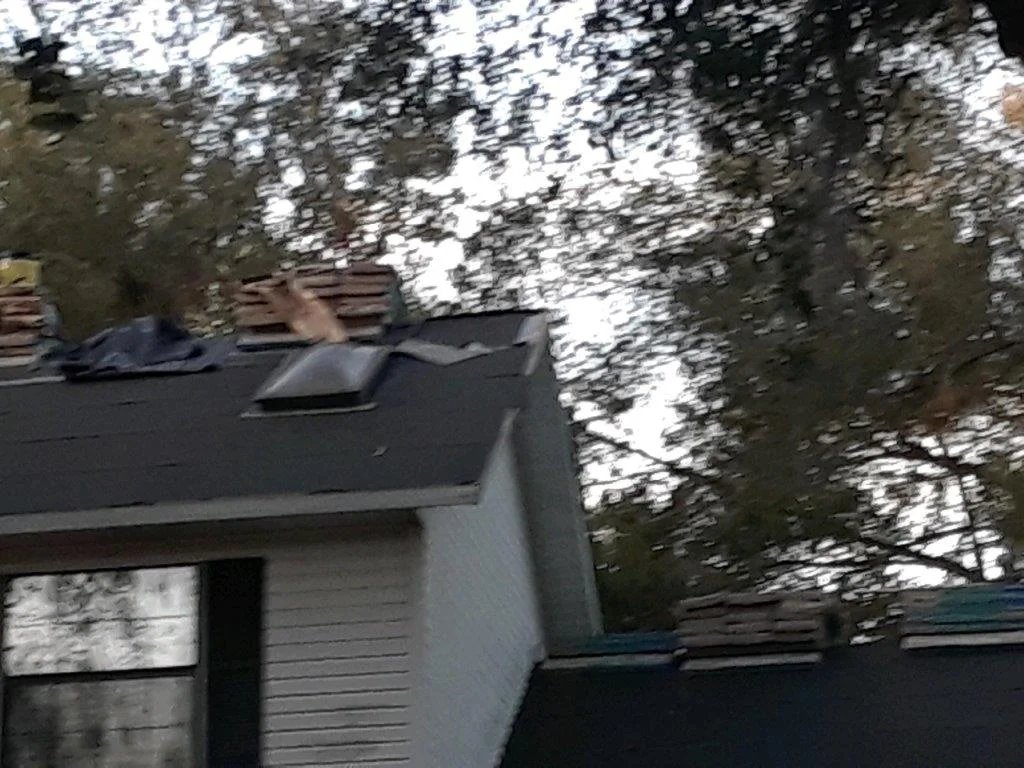 Finished roofing project — new shingle roof on Florida home